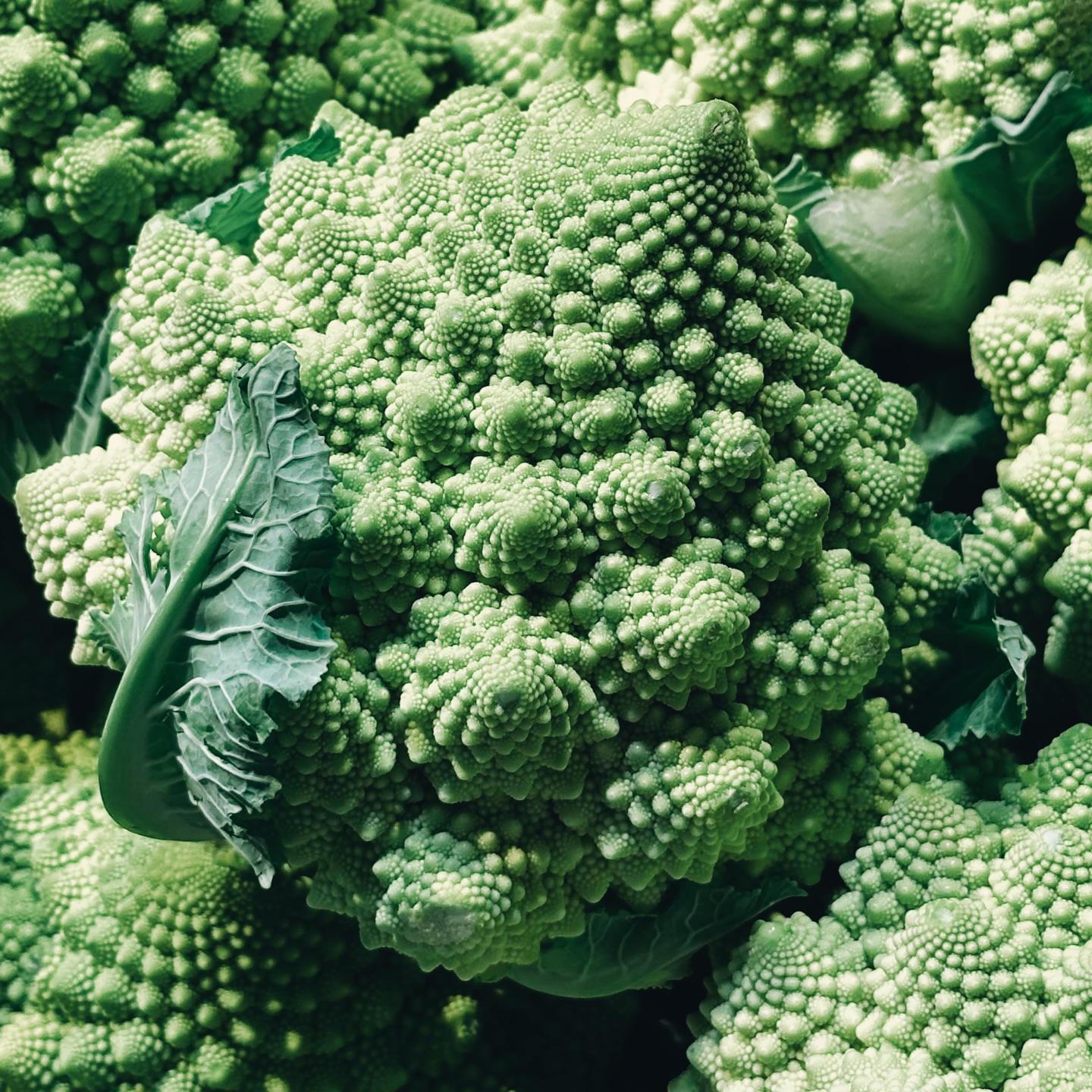 Romanesco